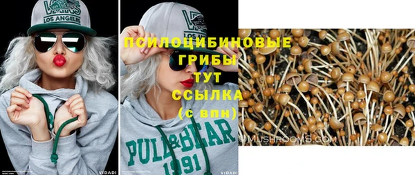 тгк Арсеньев