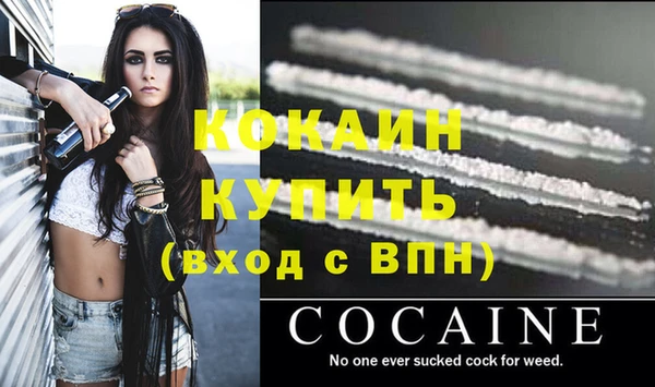 шишки Пересвет