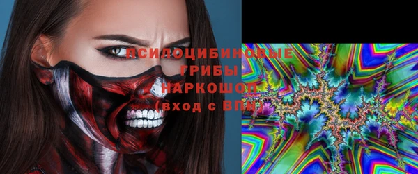тгк Арсеньев